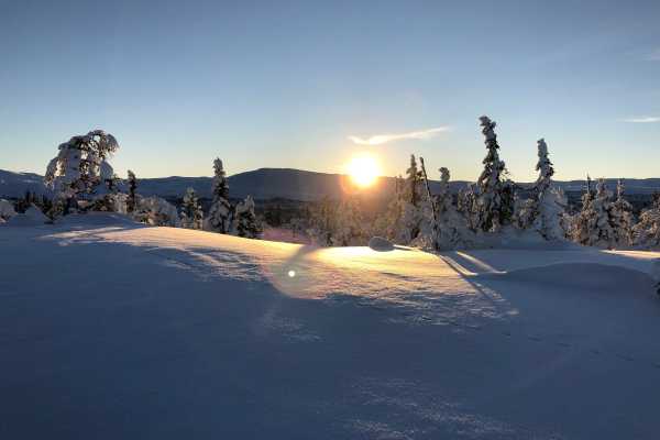 Workshop |&nbsp;Bygg din egen powsurf! 17. januar 2026