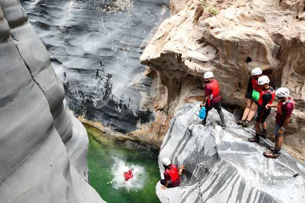 Snake Canyon & Apricot Blossom