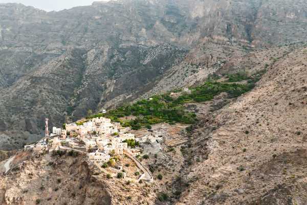 Snake Canyon & Apricot Blossom