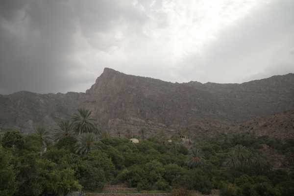Snake Canyon & Apricot Blossom