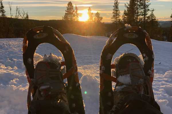 Utleie sesongen 25/26
