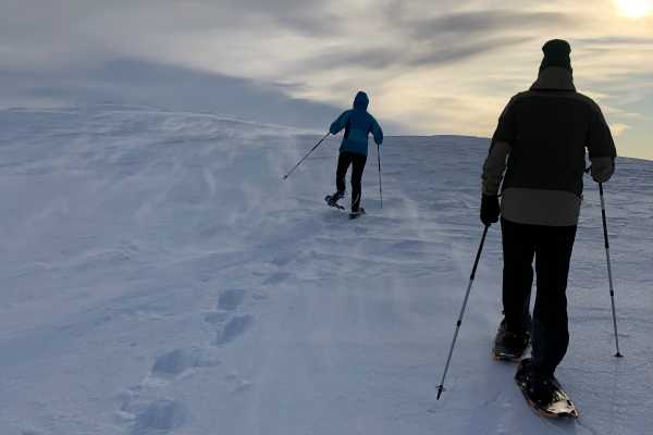 Trugetur med guide