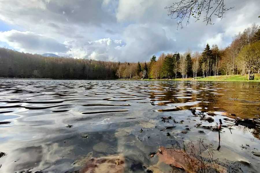 Itinere srl (ERW) CAPODANNO FUORI ROTTA 2026 - 30 dicembre - 1 gennaio