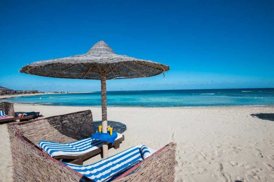 Marsa alam tours 22 Day Egypt Itinerary
