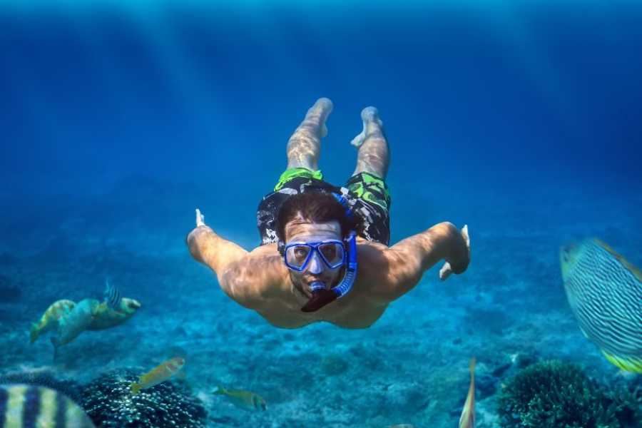 Egypt Tour packages 10-Day Egypt Adventure: Cairo, Nile Cruise & Marsa Alam