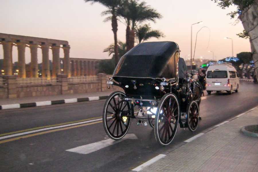 Egypt Tour packages 10-Day Egypt Adventure: Cairo, Nile Cruise & Marsa Alam