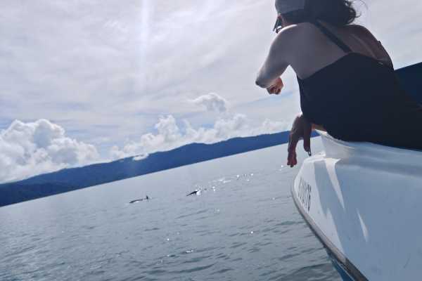 Dolphin Watching Tour in Golfo Dulce | Aventuras Golfo Dulce