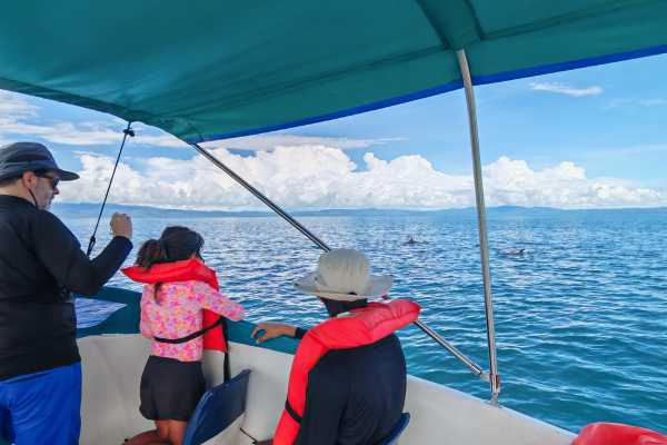 Dolphin Watching Tour in Golfo Dulce | Aventuras Golfo Dulce