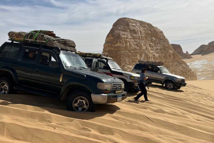 Marsa alam tours 2 days white desert and wadi el Hitan from Alexandria