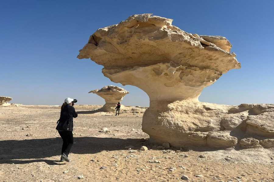 Marsa alam tours 2 days white desert and wadi el Hitan from Alexandria