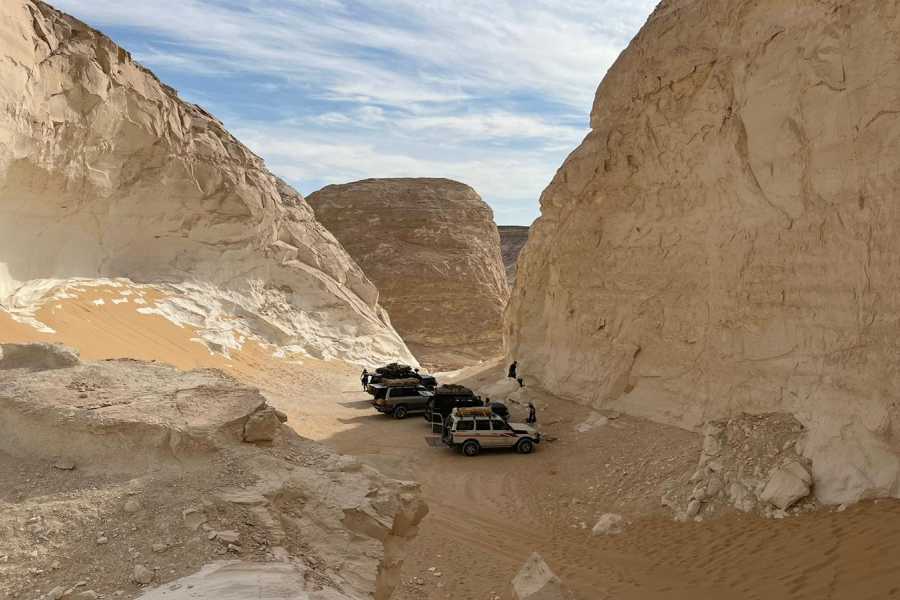 Marsa alam tours 2 days white desert and wadi el Hitan from Alexandria