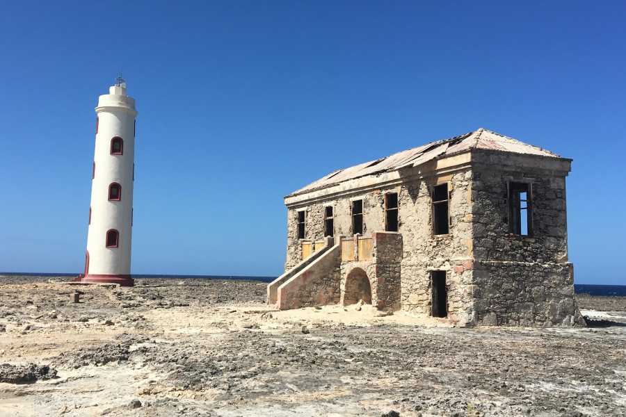 RENTO FUN ADVENTURES ATV East Coast Adventures