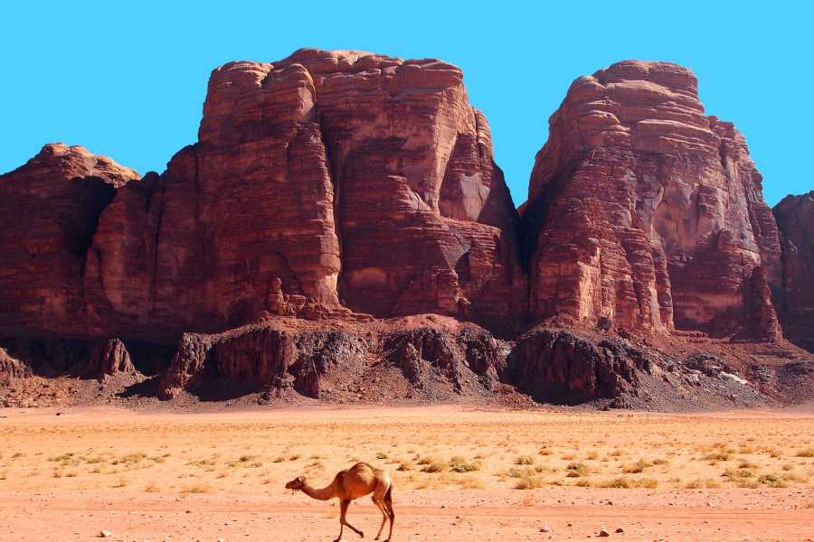 Egypt Tour packages The Perfect 11 Days Egypt and Jordan Tour Package