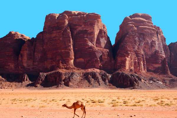 11 Day Egypt and Jordon travel Package