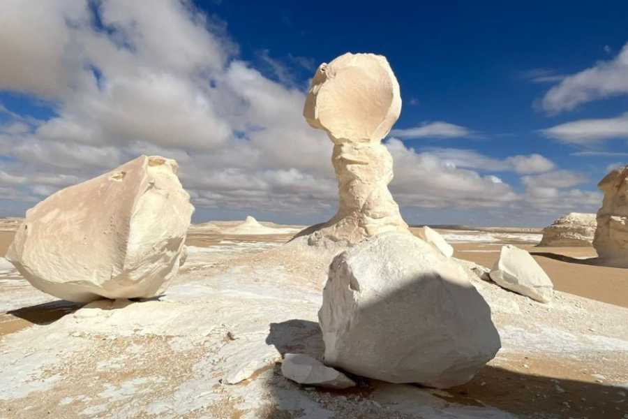 Egypt Tour packages 14-Day Egypt Highlights Tour: Cairo, White Desert, Nile Cruise & Marsa Alam