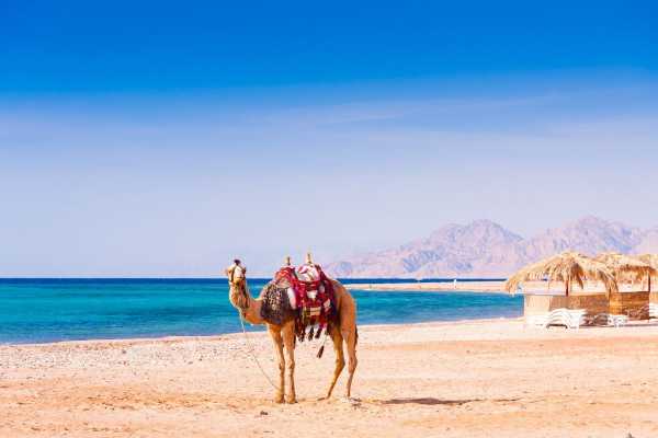 15 Days Egypt tour Cairo and Nile cruise and Sharm el sheikh