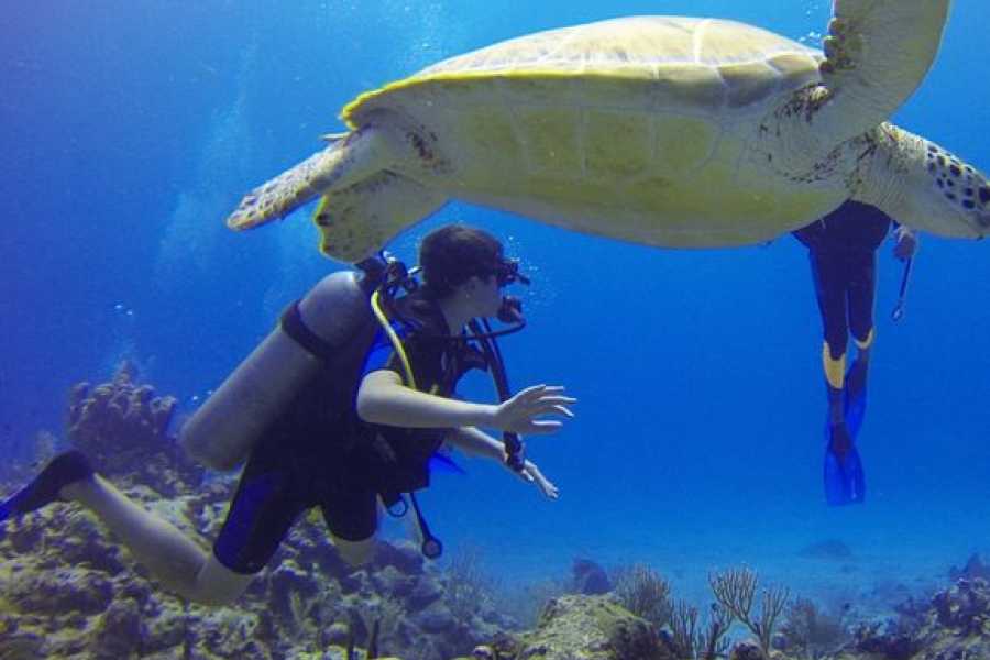 Egypt Tour packages 16 dages Egypten-rejseplan: Nilkrydstogt, &oslash;rkenen og R&oslash;dehavet