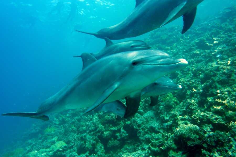 Egypt Tour packages 15 Days Egypt vacation Package