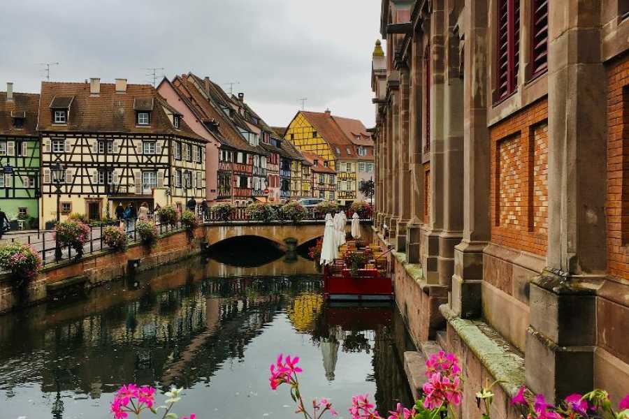 BaselCitytour.ch Ab Basel: Tagesausflug Private Gruppen ins Elsass