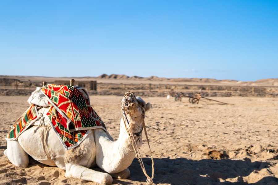 Egypt Tour packages 14 Days Egypt itinerary Nile cruise and the desert with Red Sea