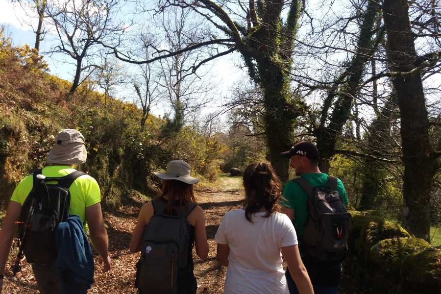 Ger&ecirc;s Equidesafios FAM&Iacute;LIAS . PROGRAMA RELAX
