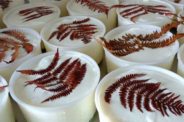 Fra sapori della tradizione e stelle Michelin