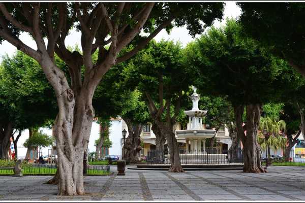 Free tour en San Crist&oacute;bal de La Laguna