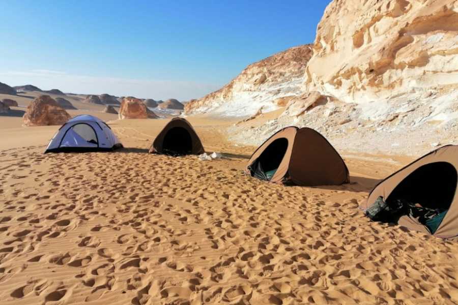 Egypt Tour packages 2-Day tour to the White Desert and Bahariya Oasis from El Gouna