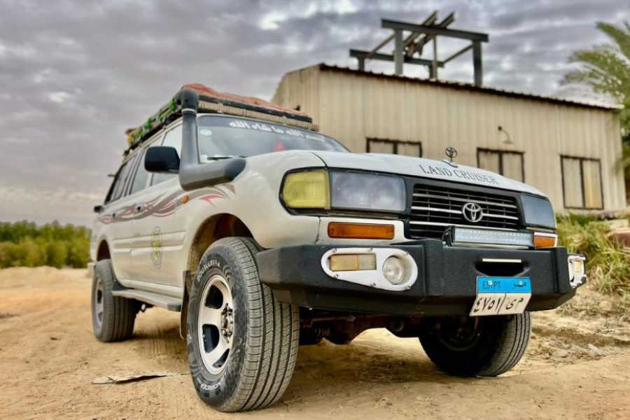 Egypt Tour packages 3 Day Trip to the White Desert and Baharyia oasis from El Gouna