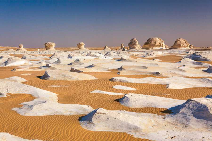 Egypt Tour packages 3 dage Siwa oase og den hvide &oslash;rken fra Kairo