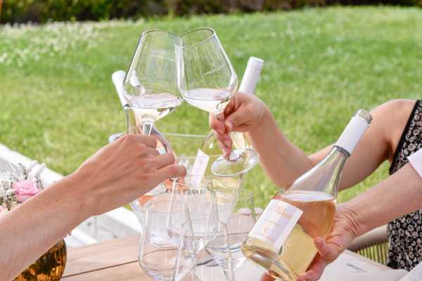 Umberto Cesari &ndash; Visita in cantina e degustazione tra i vigneti di Castel San Pietro Terme
