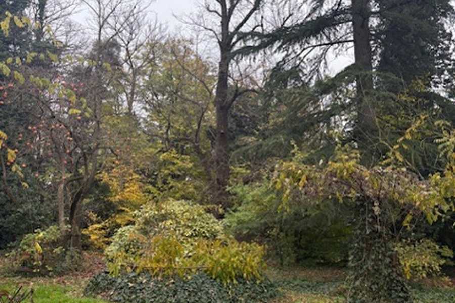 Bologna Welcome - eXtraBo Roseng&auml;rten, Fresken und Keramiken: Der Zauber der Villa Buontempo &ndash; Eine Reise zwischen Villen und Schl&ouml;ssern