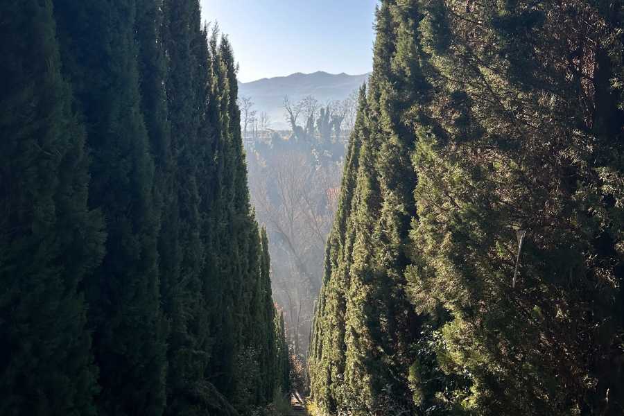 Bologna Welcome - eXtraBo Tra storia e leggenda: Villa e Parco Manusardi - Alla scoperta di Ville e Castelli