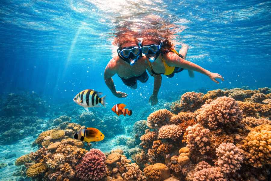 EMO TOURS EGYPT 7-Day Luxury Honeymoon Through History & The Red Sea