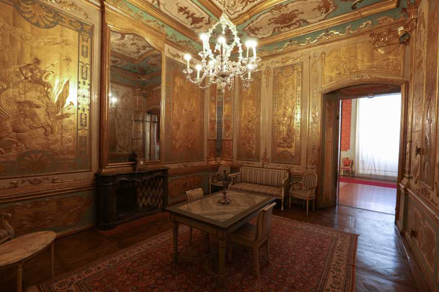 Modenatur Guided tour to Modena Ducal Palace and San Domenico Church - A journeys among Villas and Castles