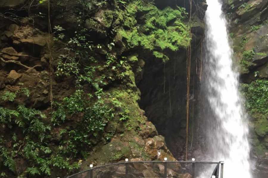 Tour Guanacaste La Orop&eacute;ndola and Simbiosis Spa Combo