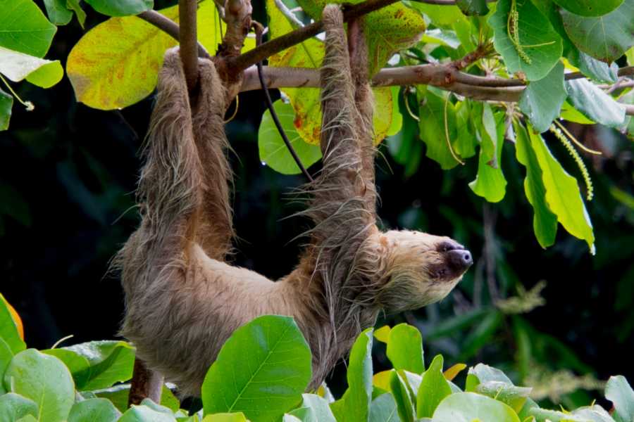 Tour Guanacaste La Orop&eacute;ndola and Simbiosis Spa Combo