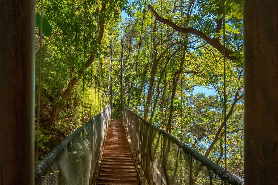 Tour Guanacaste La Orop&eacute;ndola and Simbiosis Spa Combo