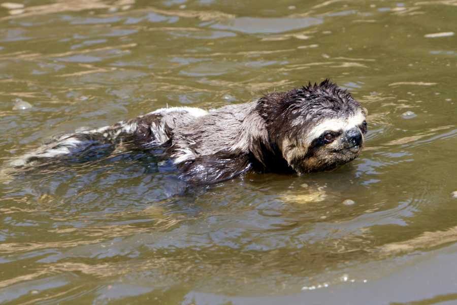 Tour Guanacaste La Orop&eacute;ndola and Simbiosis Spa Combo