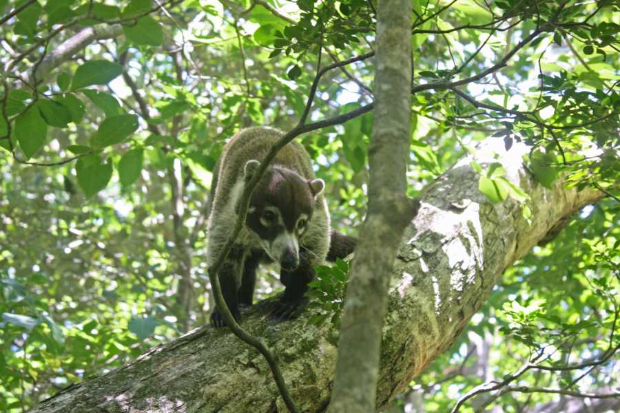 Tour Guanacaste La Orop&eacute;ndola and Simbiosis Spa Combo