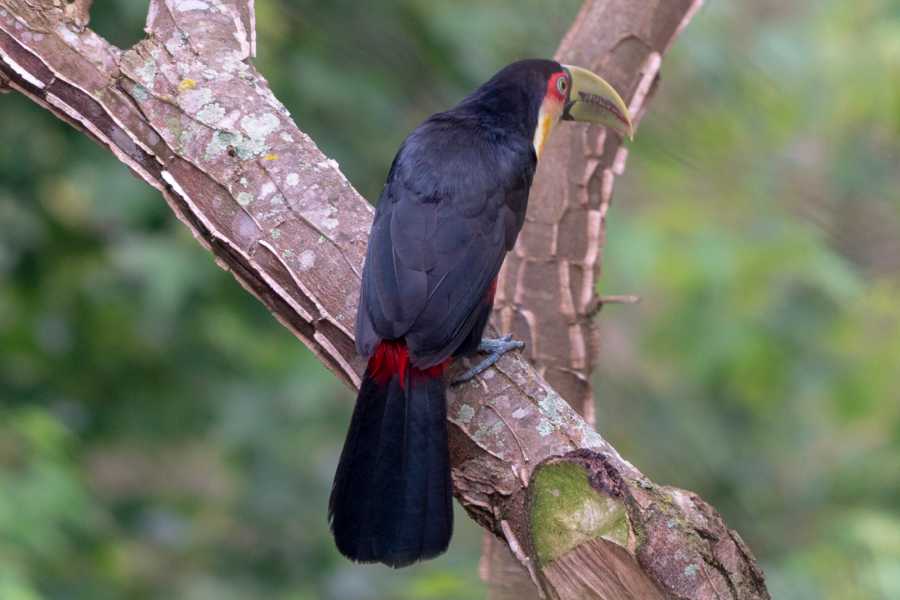 Tour Guanacaste La Orop&eacute;ndola and Simbiosis Spa Combo