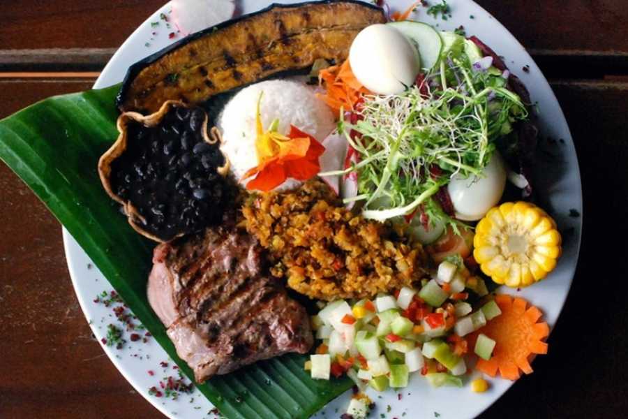 Tour Guanacaste La Orop&eacute;ndola and Simbiosis Spa Combo