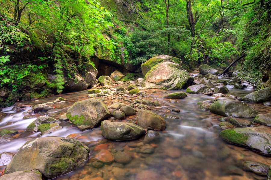 Tour Guanacaste La Orop&eacute;ndola and Simbiosis Spa Combo