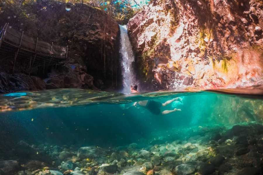 Tour Guanacaste La Orop&eacute;ndola and Simbiosis Spa Combo