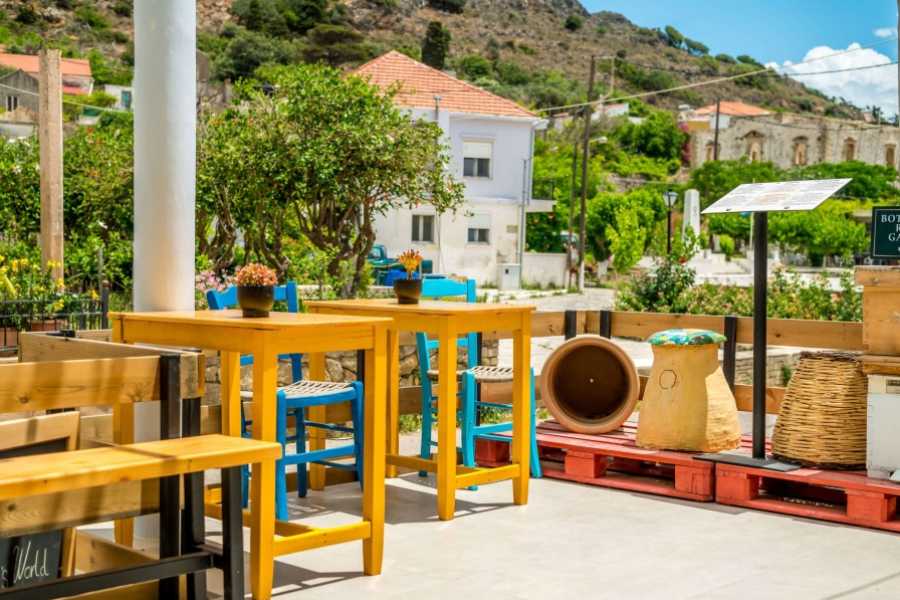 Destination Platanias Hunajaa & kylien paikallisel&auml;m&auml;&auml;