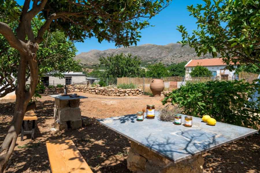 Destination Platanias Hunajaa & kylien paikallisel&auml;m&auml;&auml;