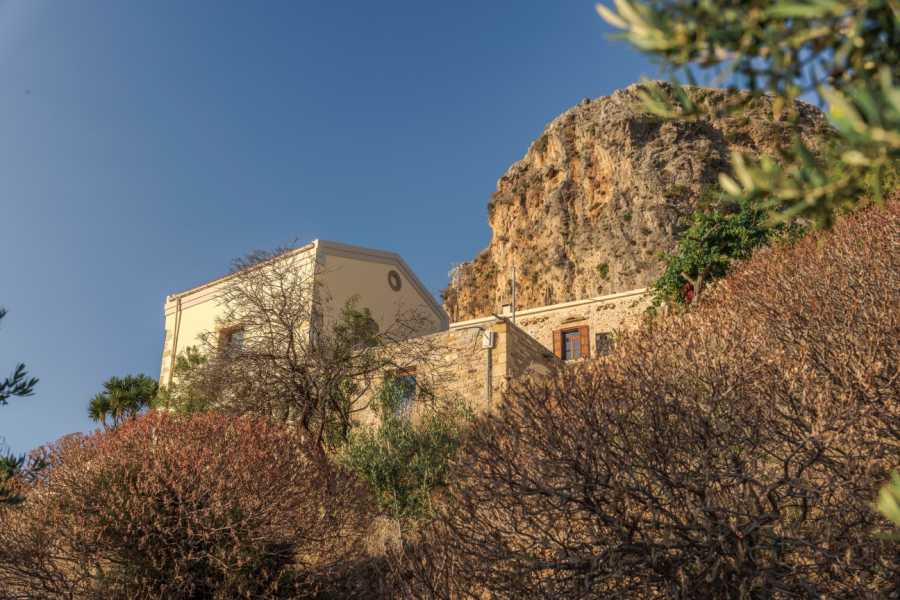 Destination Platanias Oliivi&ouml;ljyn maistelu - Premium