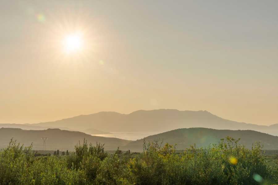 Destination Platanias Oliivi&ouml;ljyn maistelu - Premium