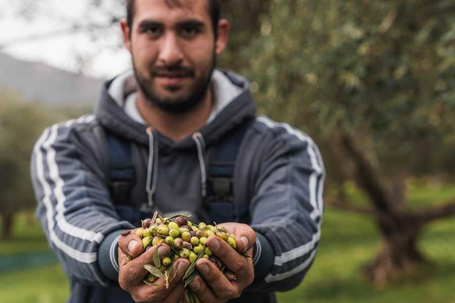 Destination Platanias Oliivi&ouml;ljyn maistelu - Premium