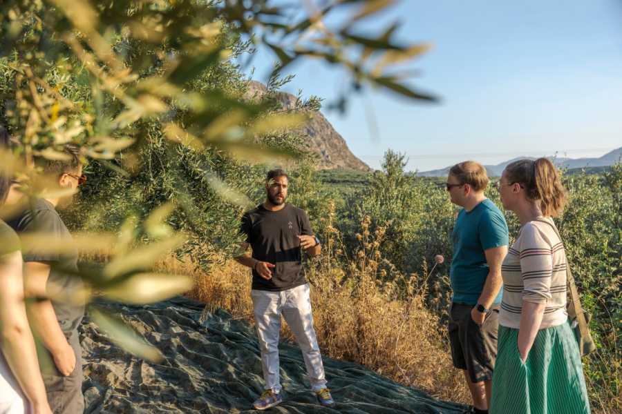 Destination Platanias Oliivi&ouml;ljyn maistelu - Premium